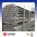 Hot dipped galvanized ringlock scaffolding for construction with high quality